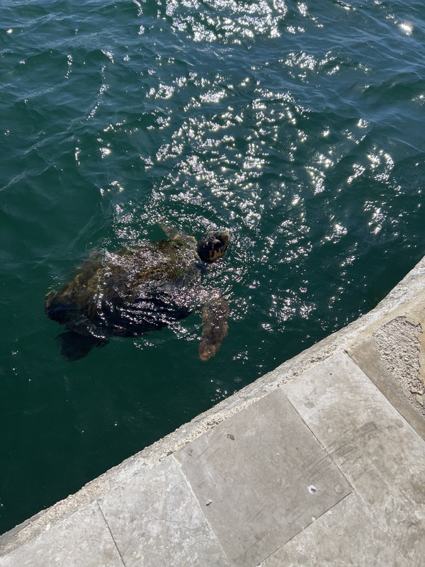 4E7E4825-1307-4488-B5FE-E519276B3295