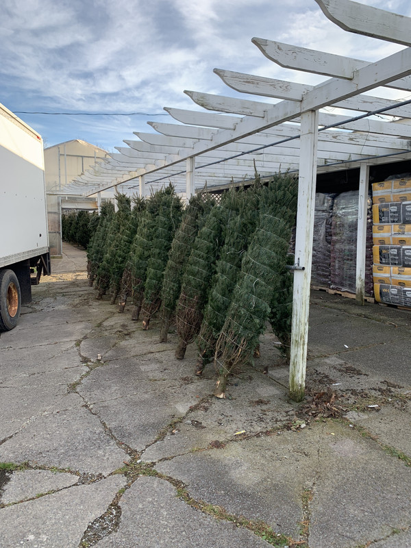 5A2A80D2-3D16-43C2-9F53-8F50FC451587