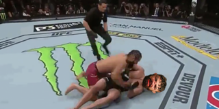 masvmp.png