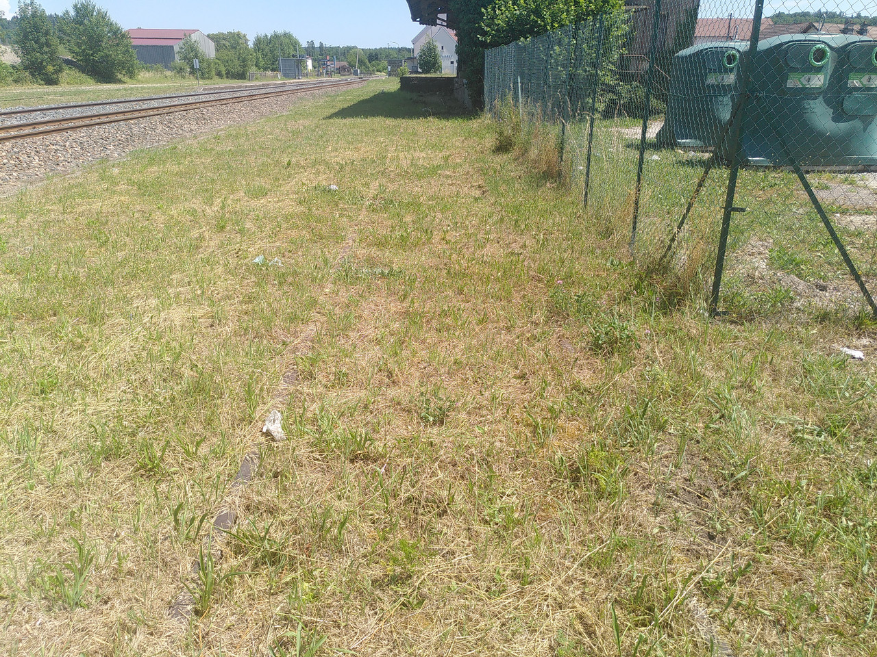 IMG 20260619 142347