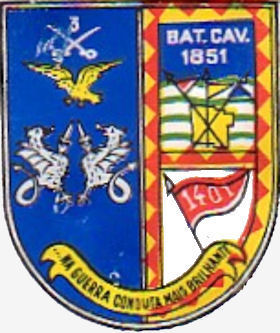 CCav1401-1
