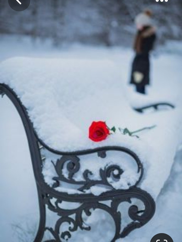 Screenshot_20230515_221331_Pinterest