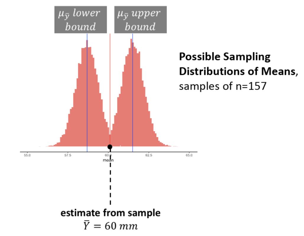 Simulated histograms of the lower bound sampling distribution and the upper bound sampling distribution on a sample number line. The upper 2.5% cut-off value of the lower bound sampling distribution is the same as the lower 2.5% cut-off value of the upper bound sampling distribution. The two histograms are roughly symmetrical with respect to the estimate of the population mean from our sample distribution.