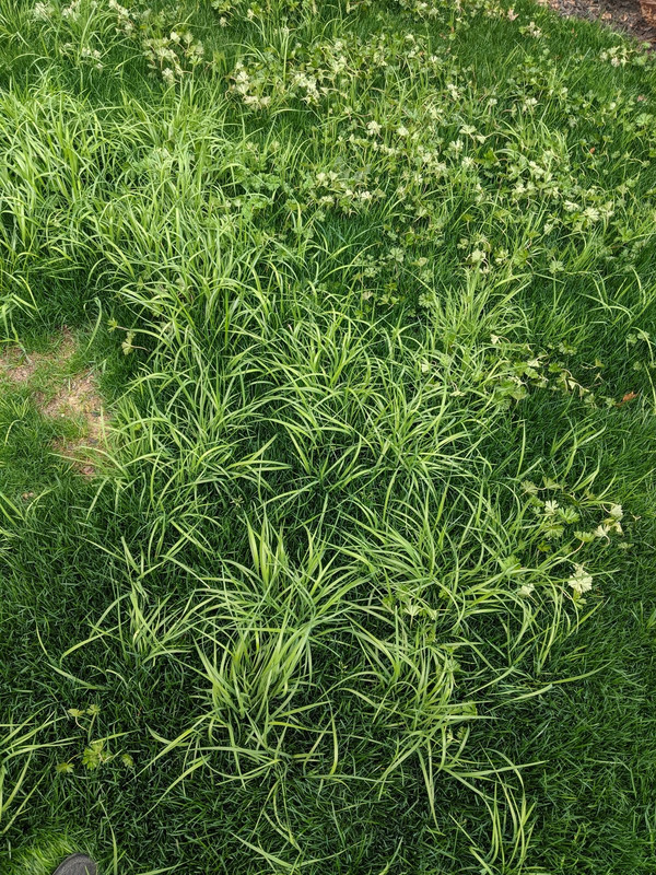 PXL_20210306_181806918