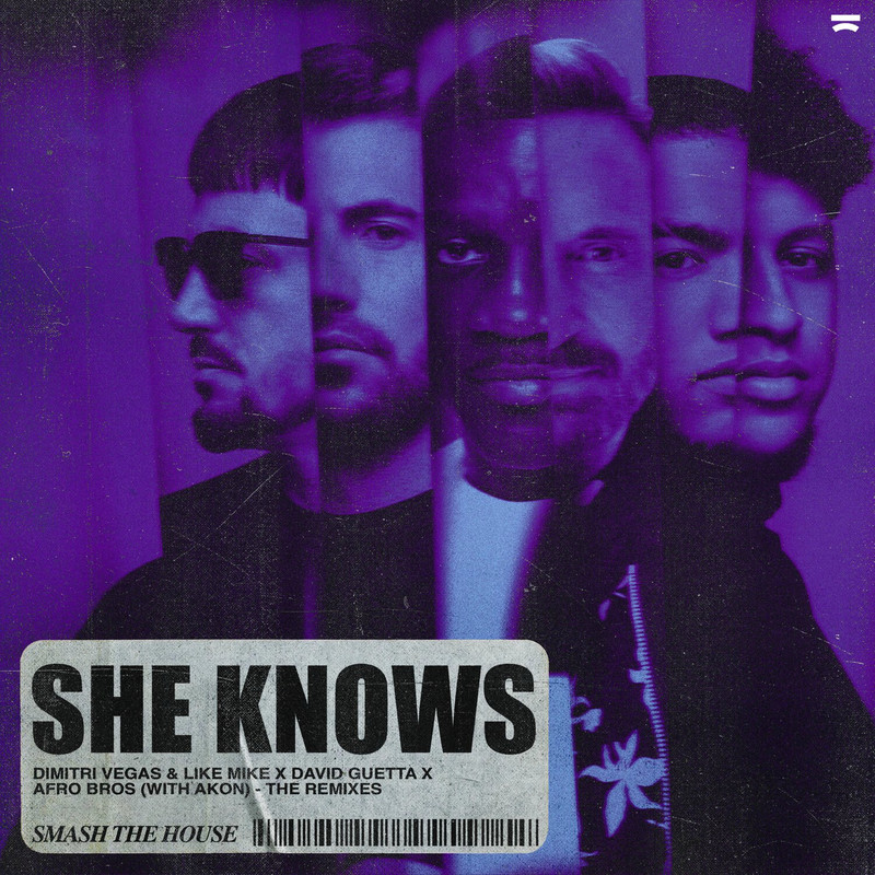 David Guetta, Dimitri Vegas & Like Mike - She Knows (The Extended Remixes)