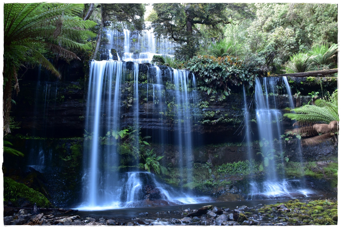 Mount Field National Park - Australia (II): Recorriendo Tasmania (3)