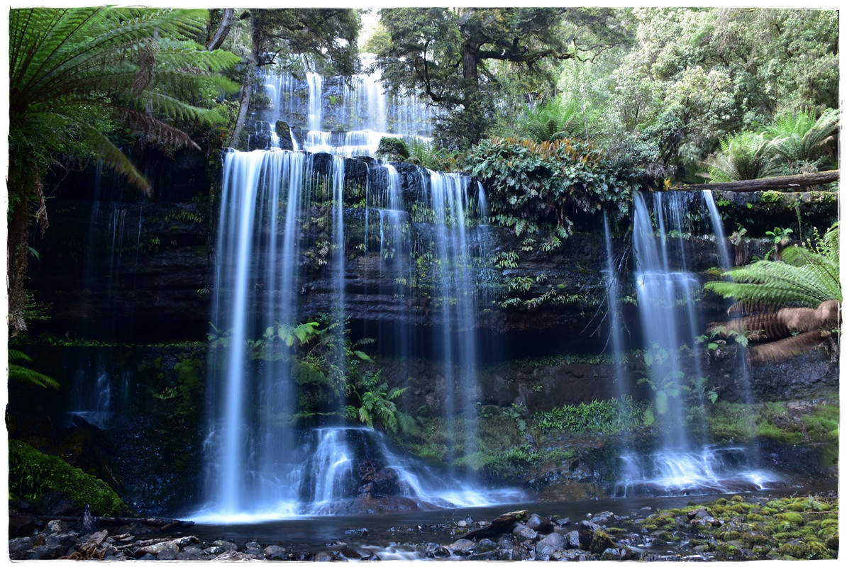 Mount Field National Park - Australia (II): Recorriendo Tasmania (3)