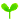 sprout