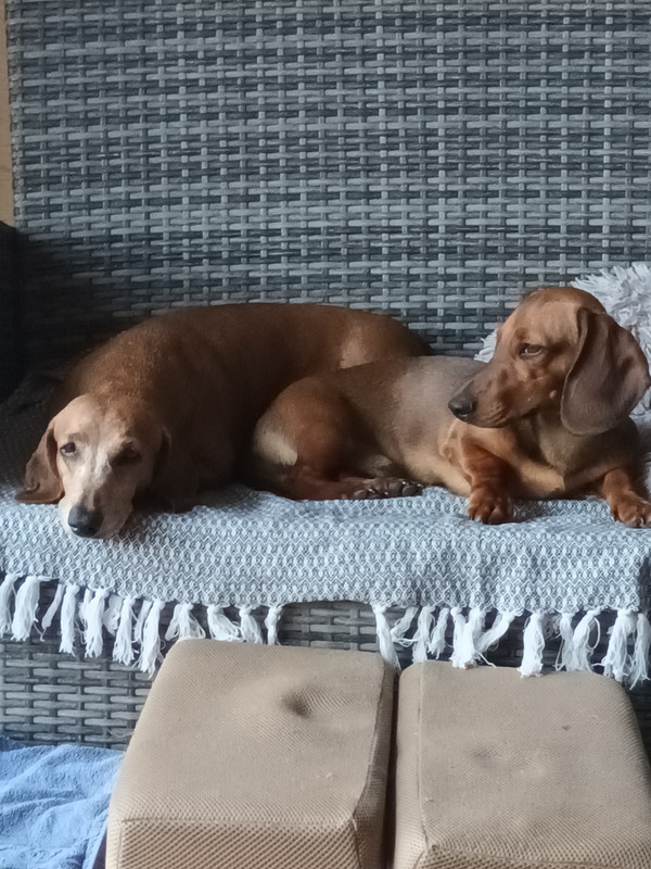 [Image: IMG-20230816-130025.jpg]