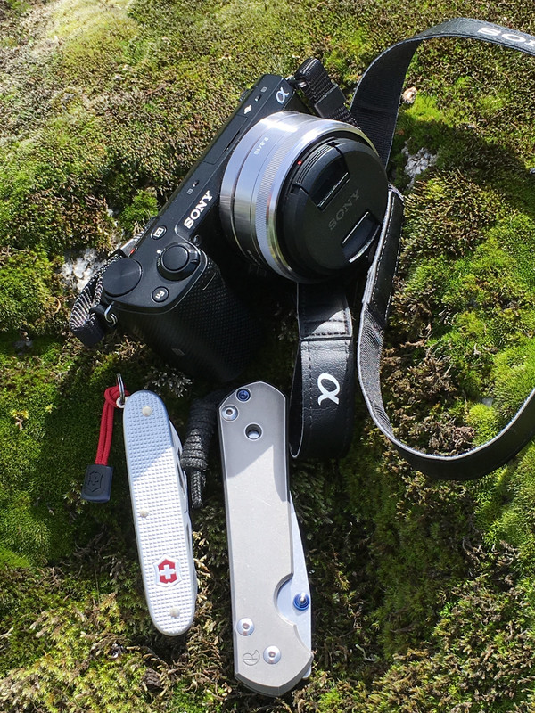 14564A00-33A8-415E-AE35-4C6F9182A032