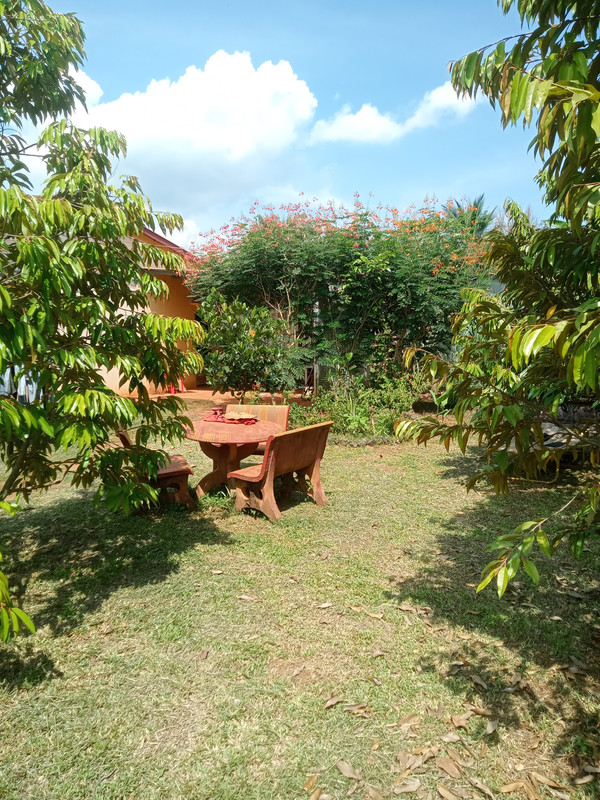 IMG20260612140301