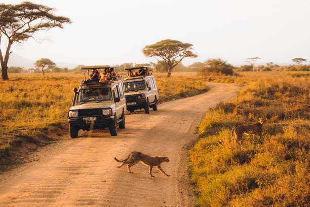 luxury safari Tanzania