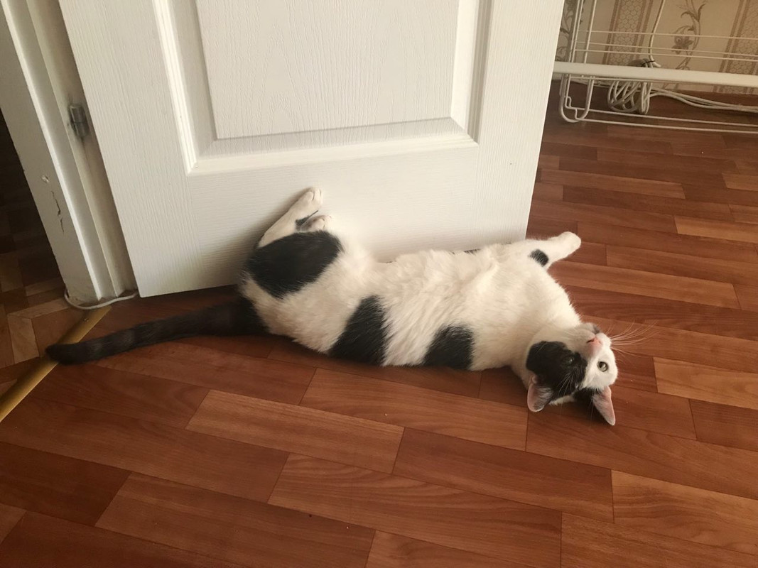 CEFD57A0-54DB-49B9-88DA-5A1808FE9D89