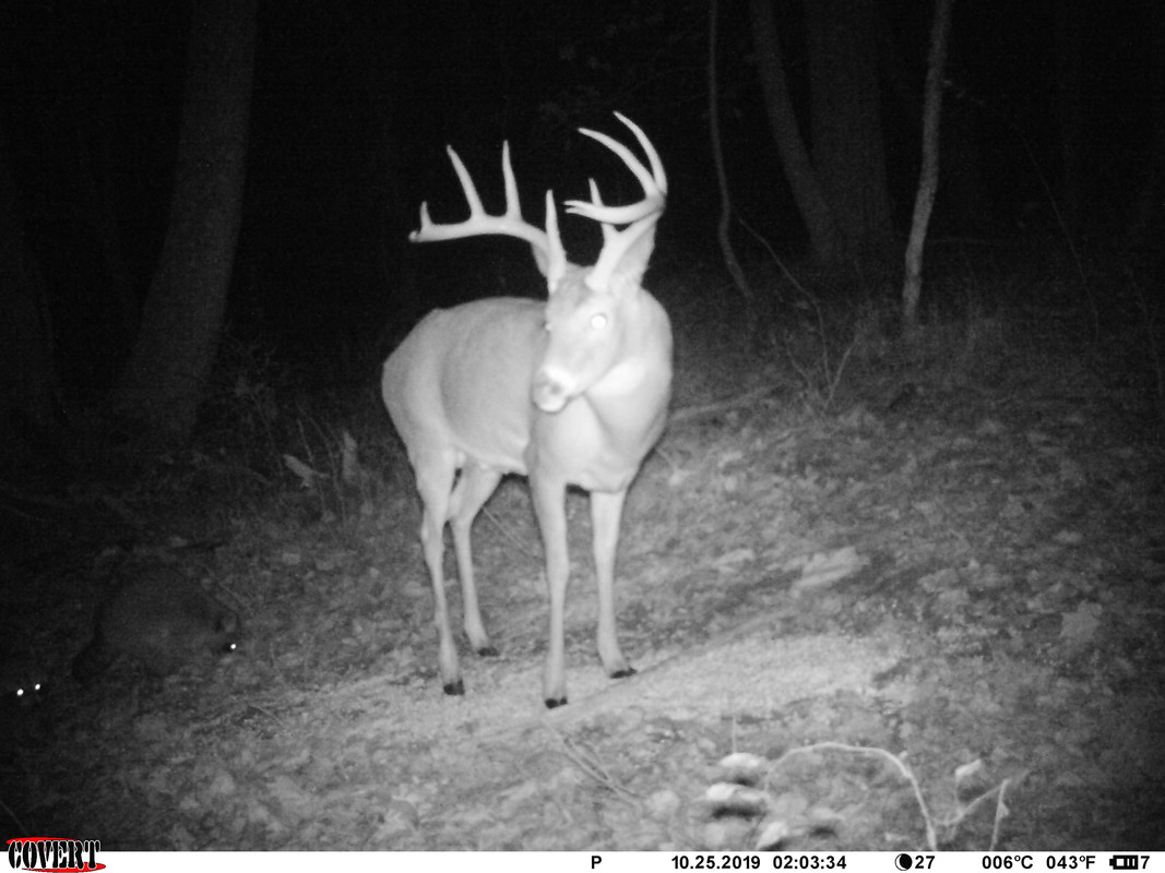 C67EFAA8-04ED-41AC-8DF9-D0AC808DB0D6