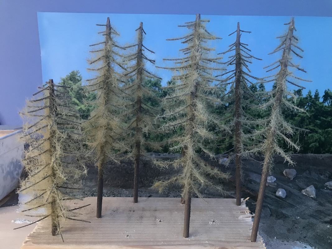 0FE20402-B043-4F41-946D-AEA28ACAB09F