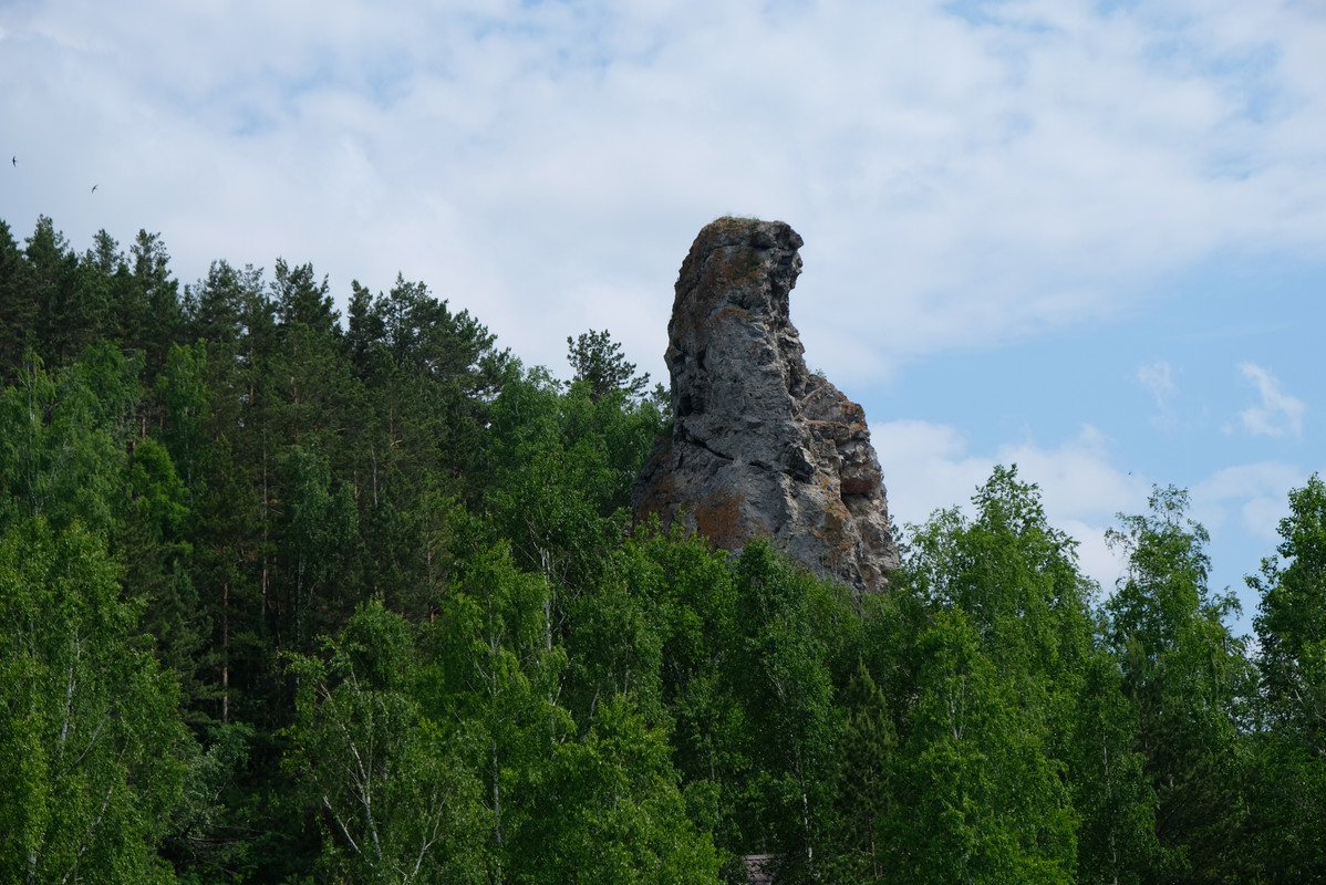 DSCF0130