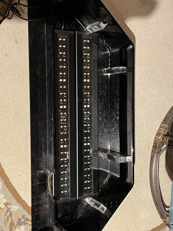 E46C0C62-A681-4941-A46B-88E4F1F5C11A