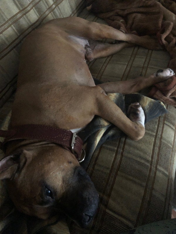 9801F89C-4262-491A-8E08-DEC5648973EA