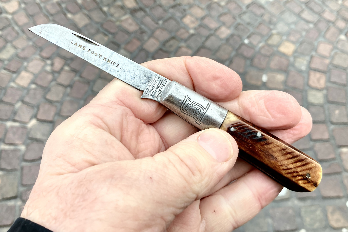 59A4A1F0-84BB-4353-A6A5-A910145B2B35