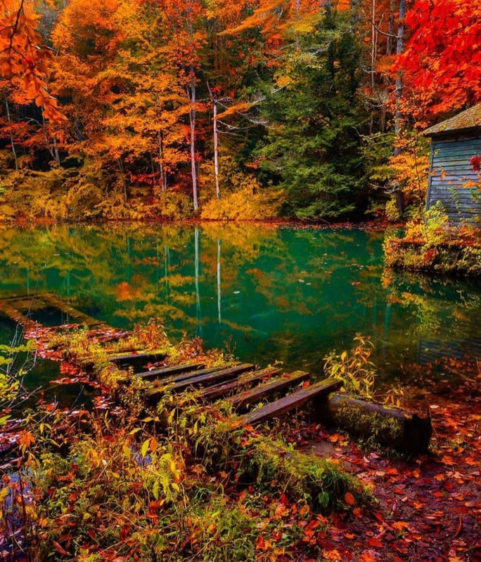 Screenshot_20231208_221203_Instagram