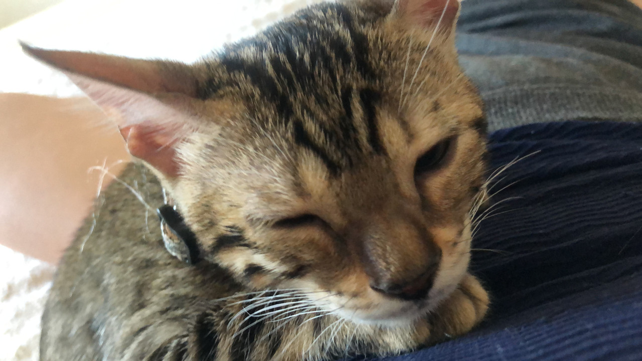 300876C6-C255-4135-BD06-55D26F8D5618