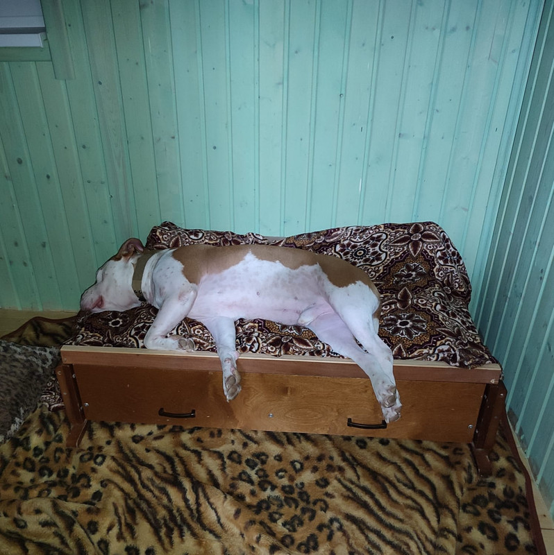 8ED773D9-F2D6-4823-84D9-500AD63359FD