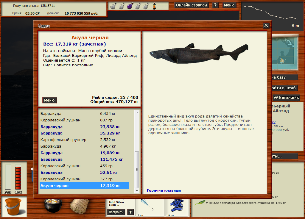 Акула чёрная