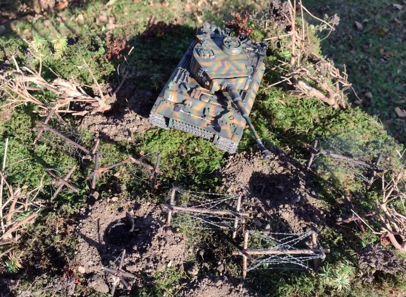 IMG_20241024_161929817