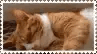 blinkie/stamp