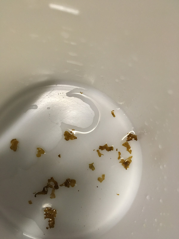 9932B7CF-6D52-4BBB-8C36-26665014B304