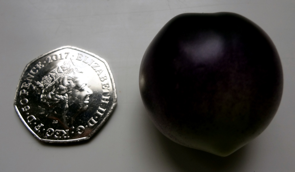 Indigo-cherry-drop-july-2018-(2)