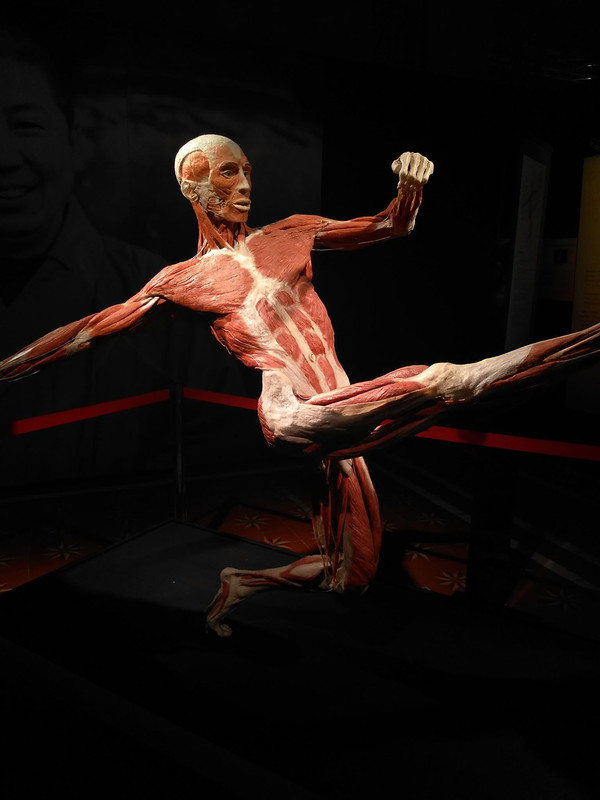 72433437_2567762643267367_2399517693343432704_n