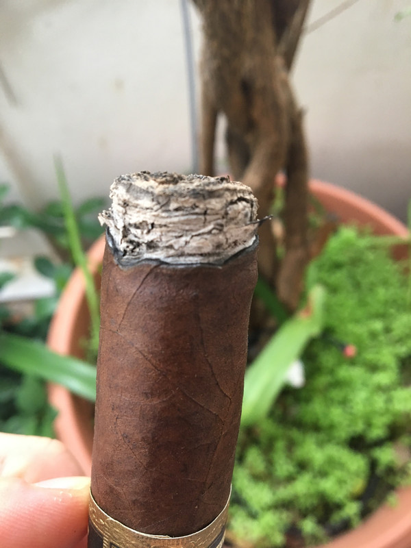 26E4D59F-B14C-4E0E-B41B-170D46796996