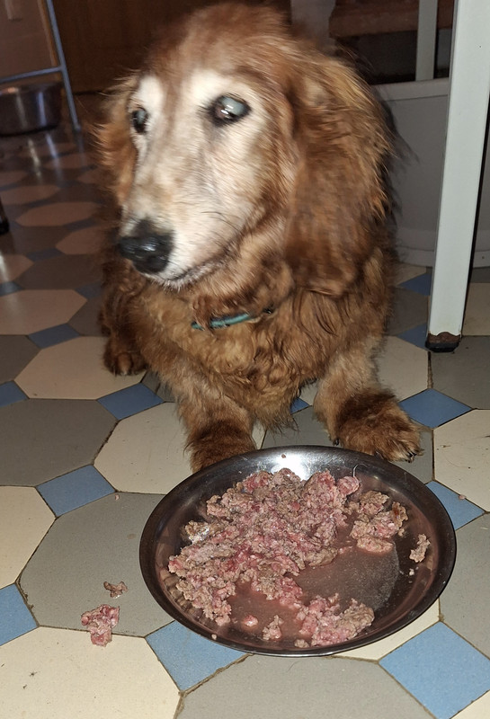 [Image: 20240823-194426.jpg]