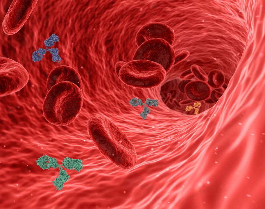 A diagram illustrating a balanced immune system on a scale with lifestyle factors. The scale is balanced.