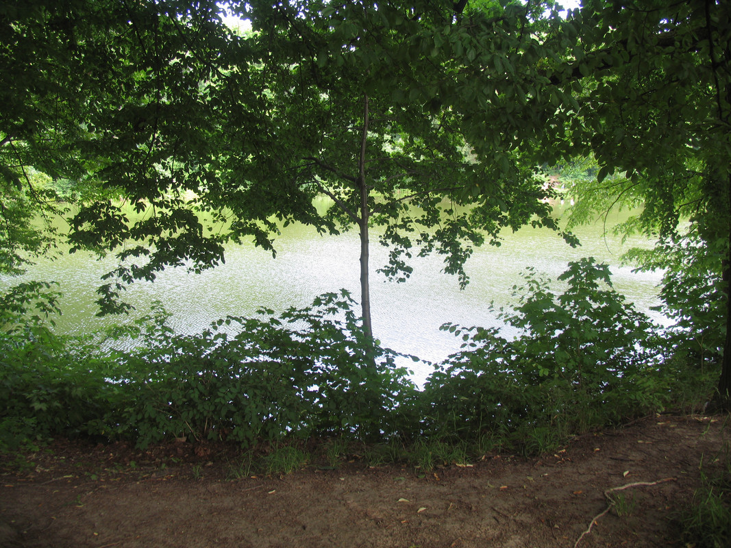 30 июня 2024 028