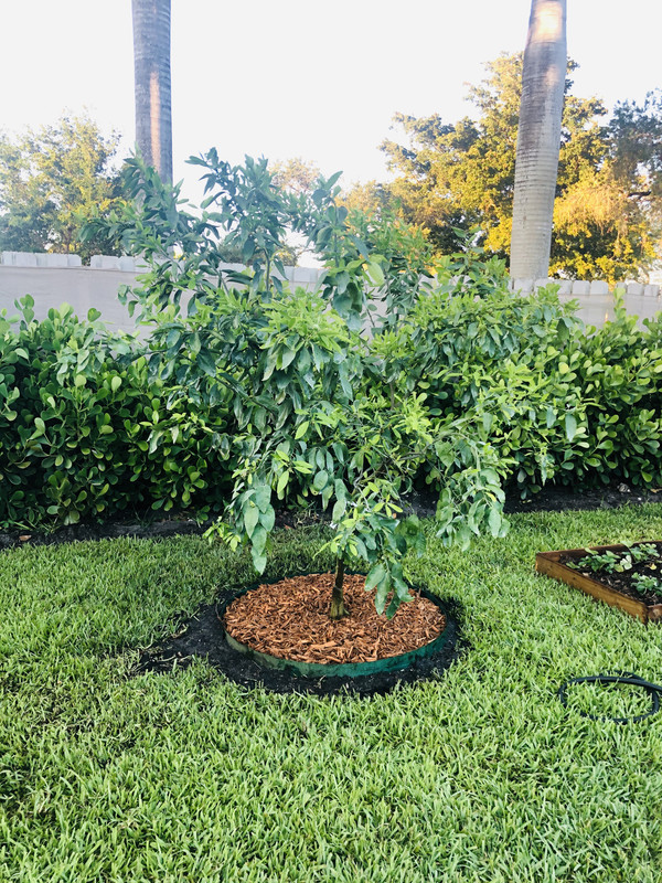 E70C5822-65F5-4781-BC73-286EA68EA370