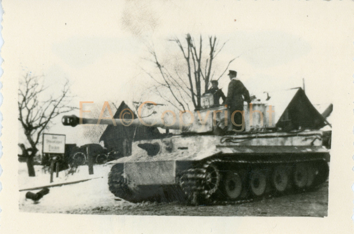 Russland Kämpfe Panzer Tank Tiger Foto