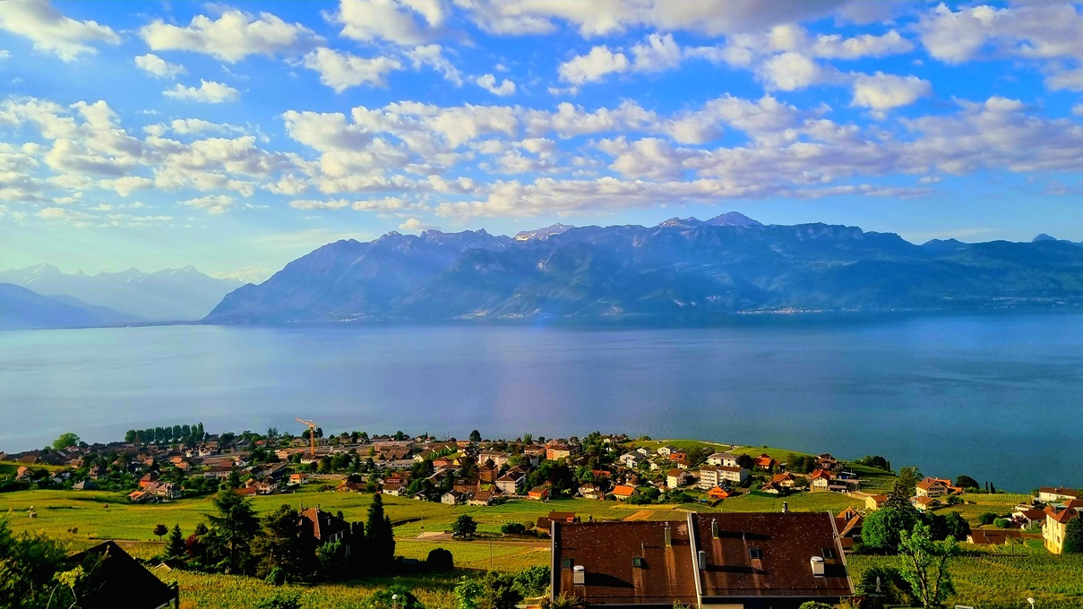 Lakeside View