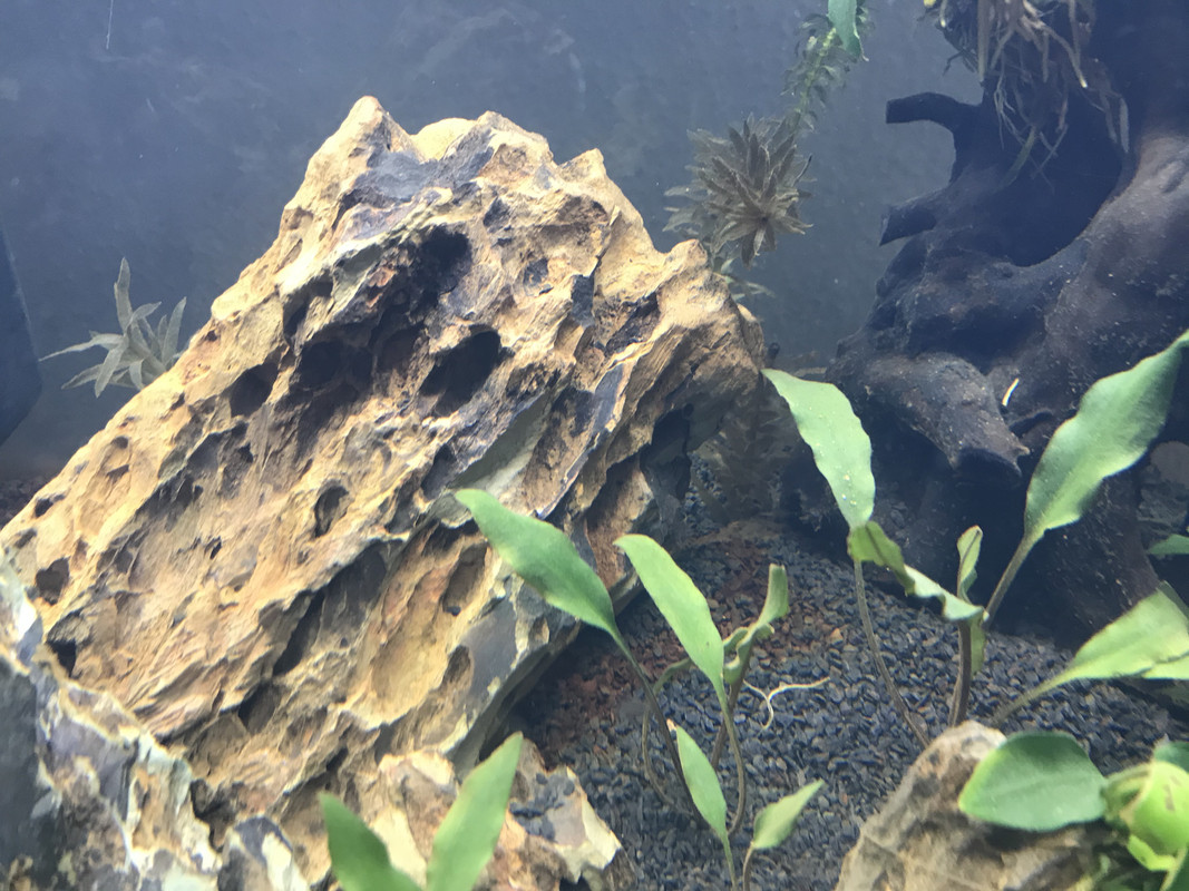 04EAE5A6-8564-4FF2-B189-ED897089E7E6