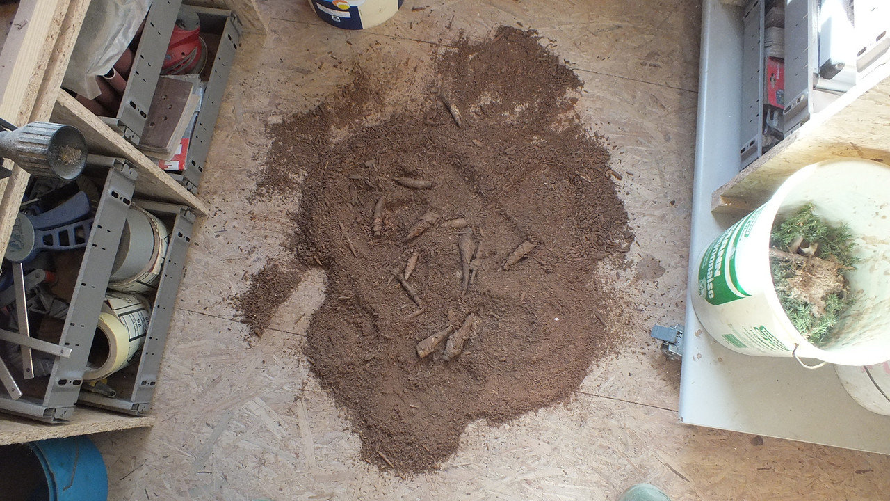 Gehölzrand für Module (11)