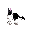 New-body-rabbit-m-duch.gif