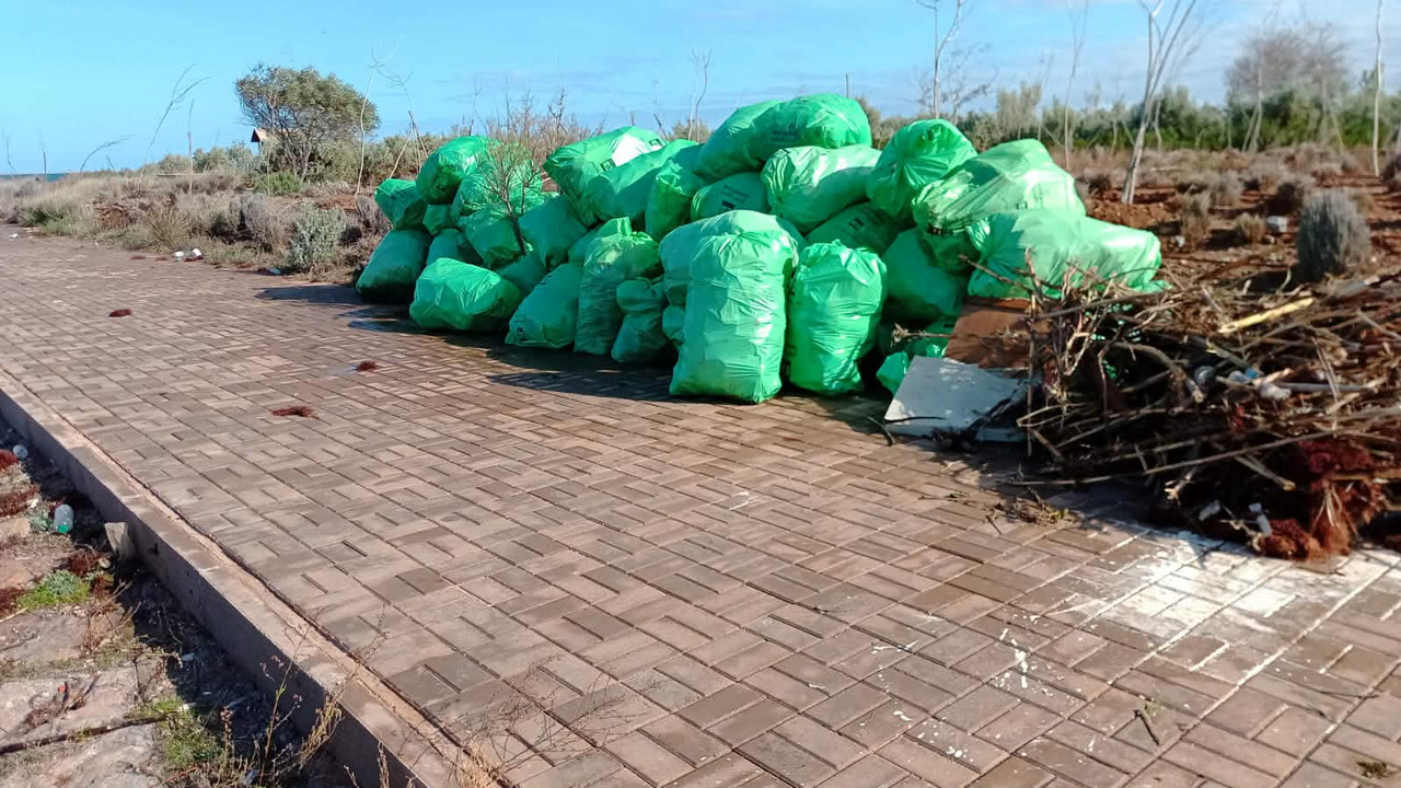 610906887-741475911890072-6656751184555152120-n