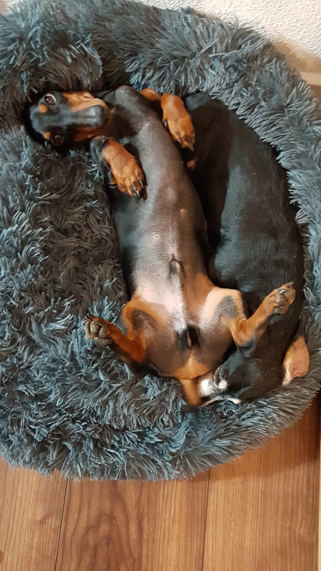 [Image: 20201112-210656.jpg]