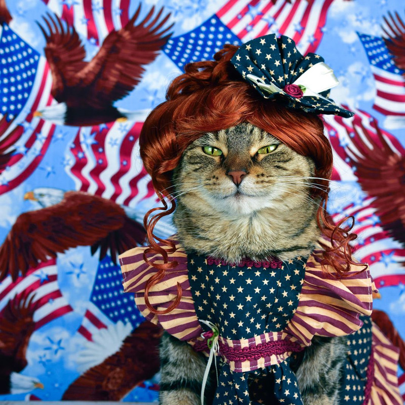 [Image: cat-patriotic-woman-ch-6.jpg]