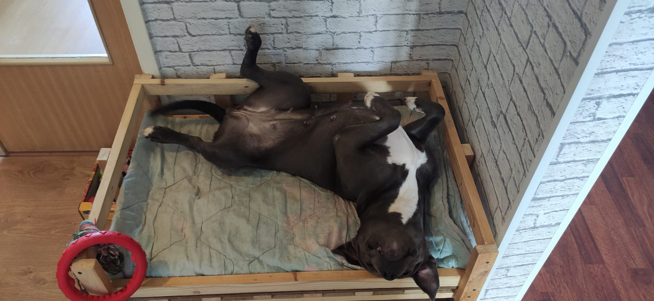 FF04D331-4F7F-4F04-8082-4D9EE63ED093