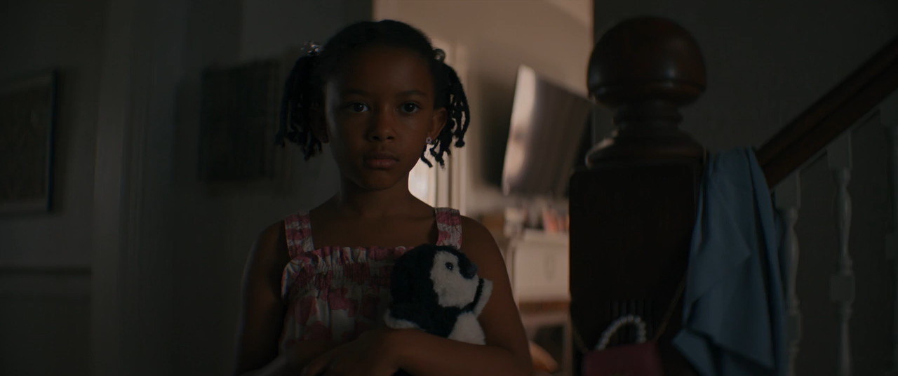 The Woman in the Yard 2025 BluRay [Hindi + English] 480p, 720p ESub Screenshot