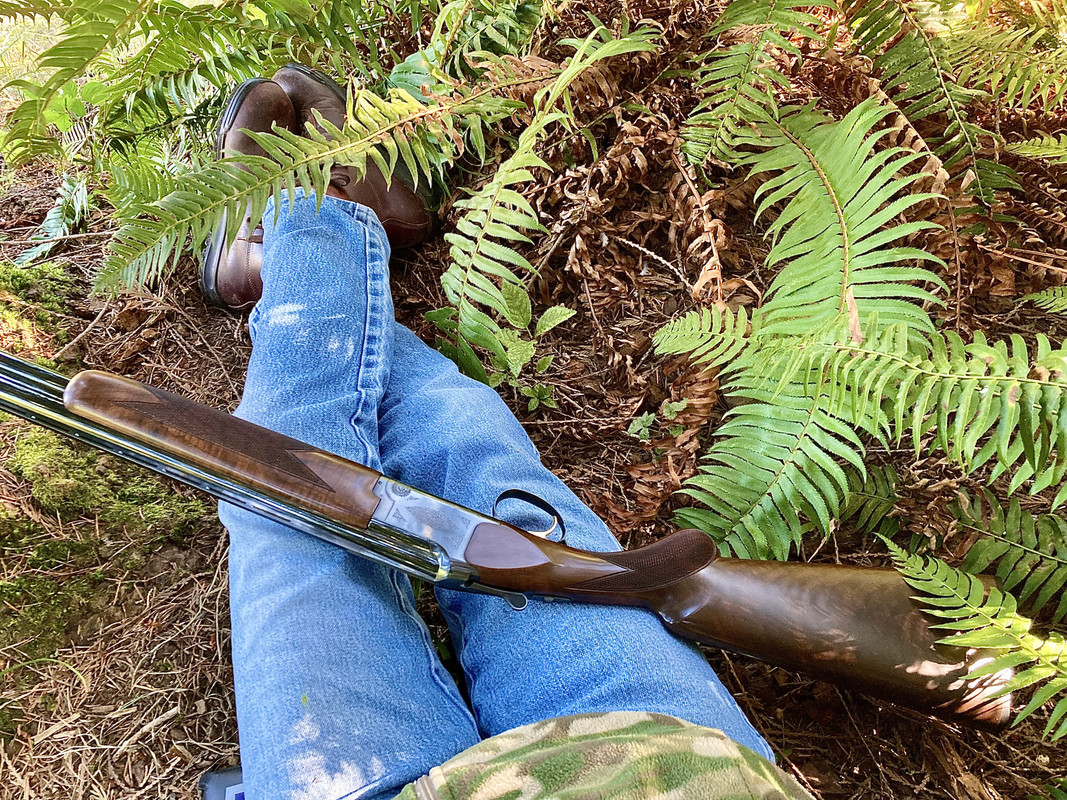 98221FE7-690A-4EE3-840C-858AC339DEB8