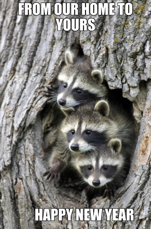 A8209C69-F378-494A-9480-8BA6894BC53D