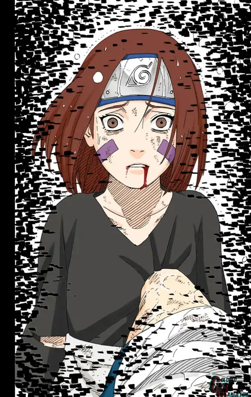 12372574_760_1200_146344